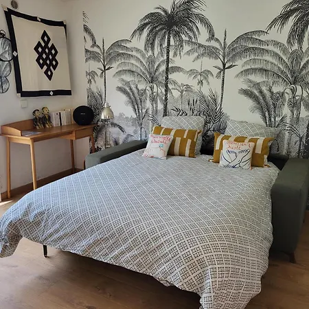 בית הארחה Independant Avec Terrasse A Juan Les Pins 3*